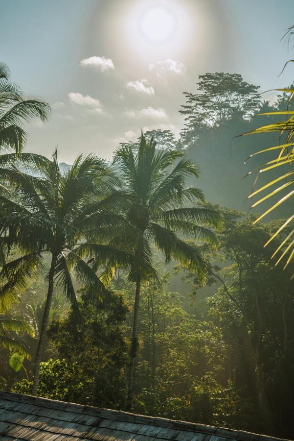 Kanva Ubud Tegallalang  Bagian luar foto