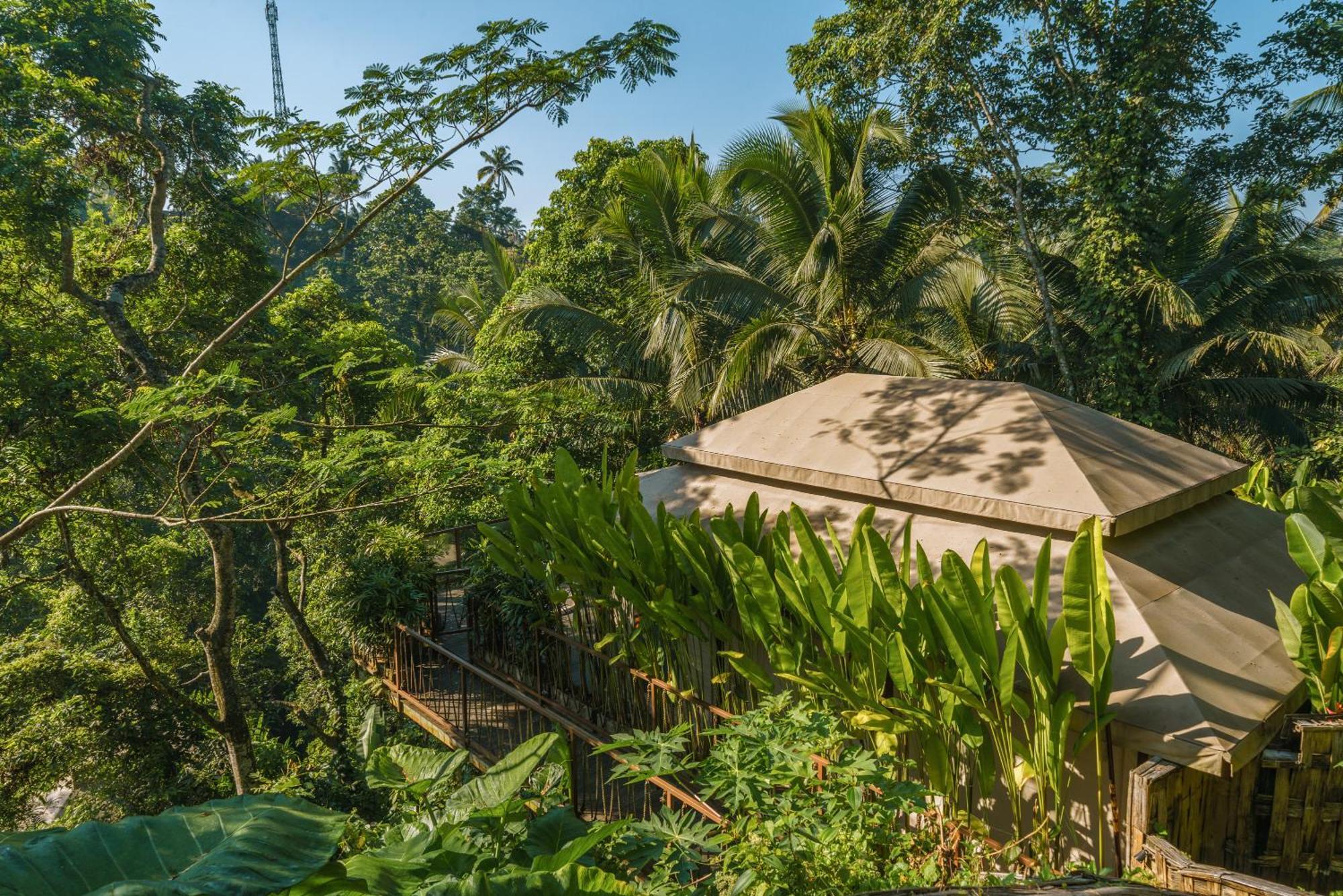 Kanva Ubud Tegallalang  Ruang foto