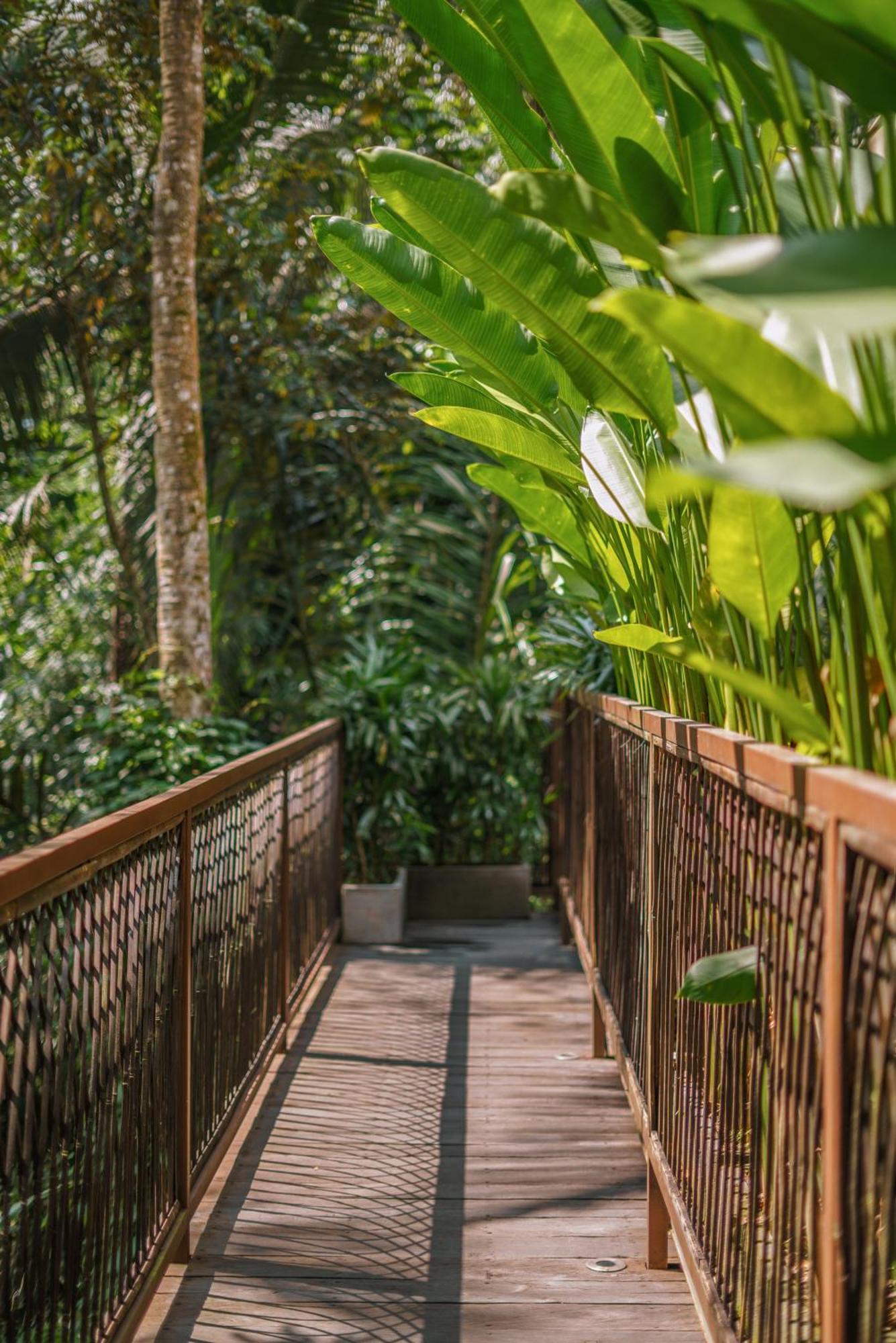 Kanva Ubud Tegallalang  Ruang foto