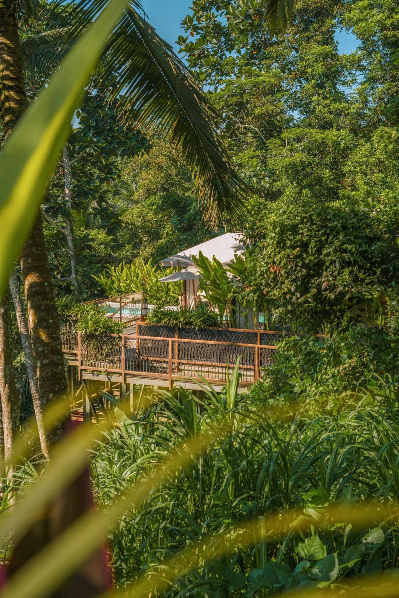 Kanva Ubud Tegallalang  Ruang foto